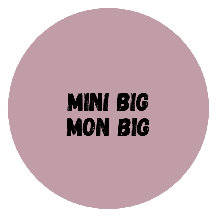 Romans en gros caractères mini big et mon big à moi