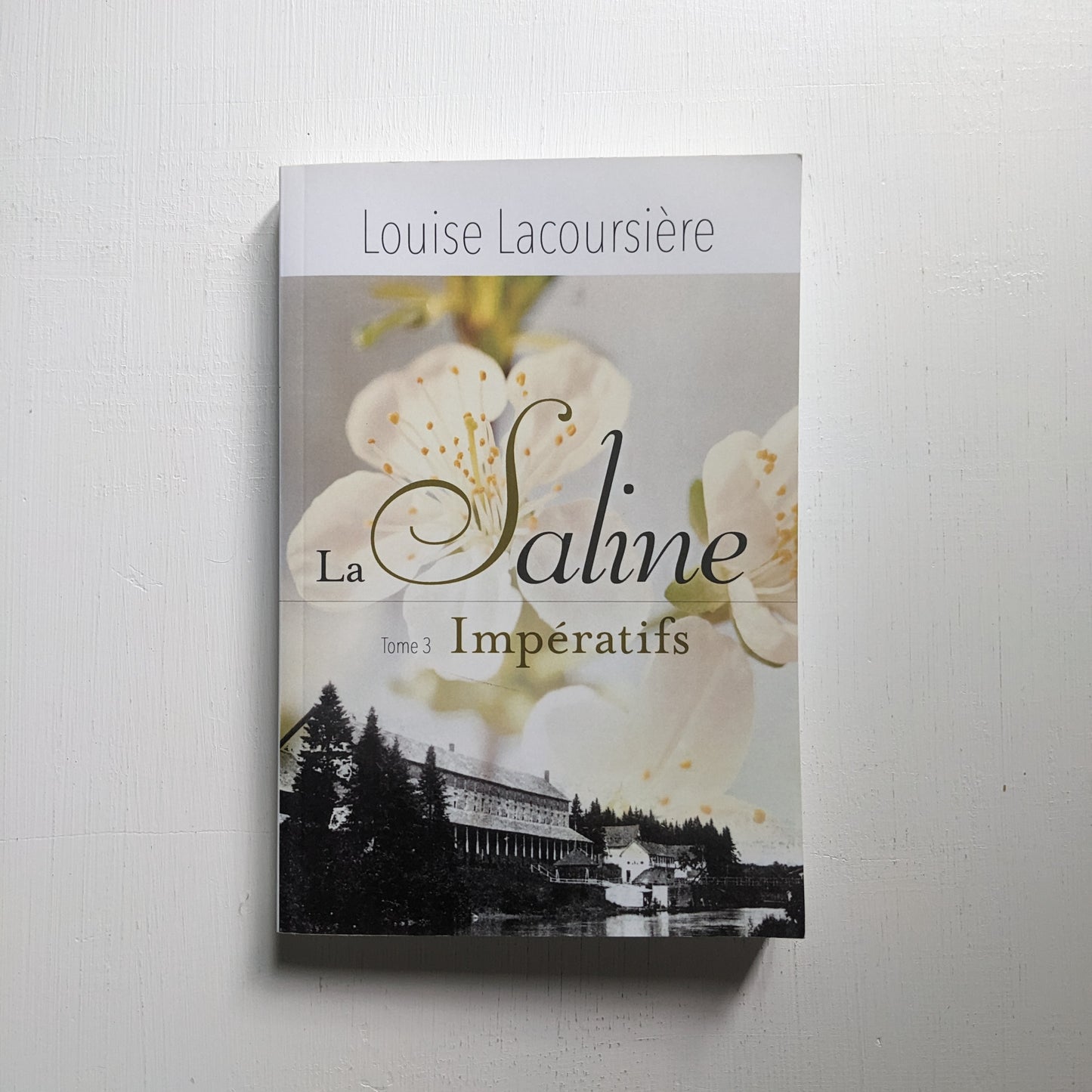 La Saline : #3 Impératifs