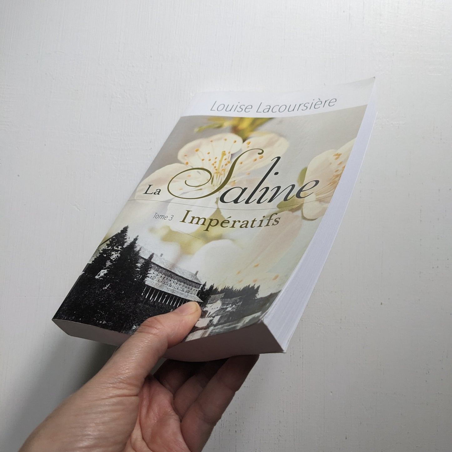 La Saline : #3 Impératifs