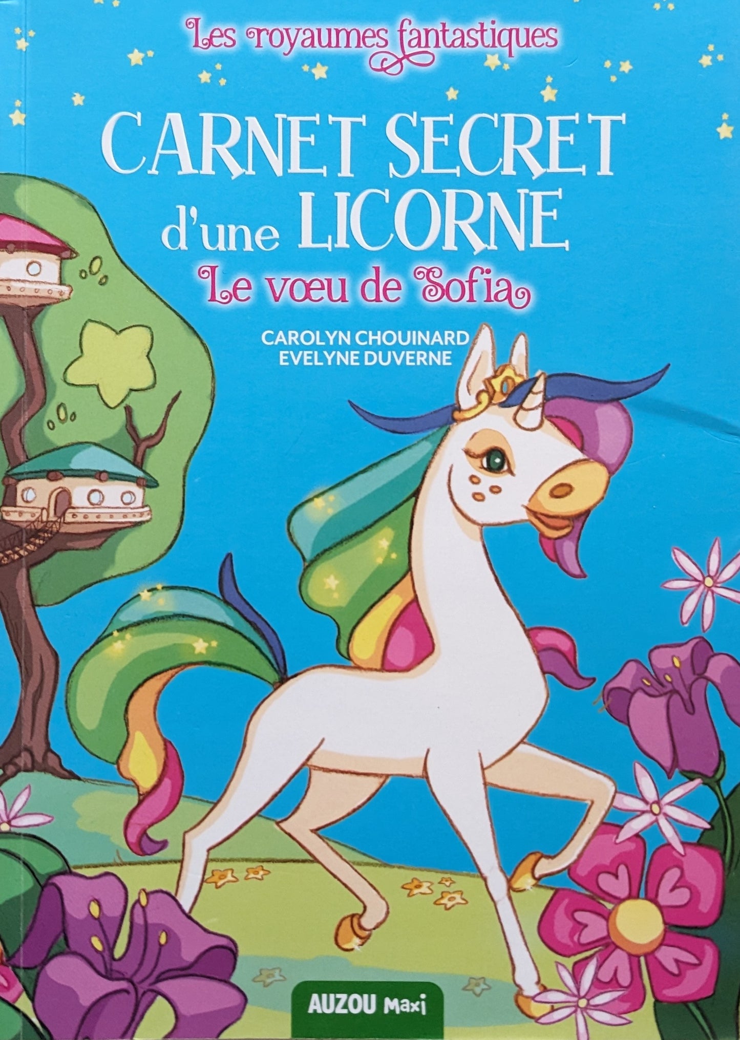 Carnet secret d'une licorne : Le vœu de Sofia : les royaumes fantastiques