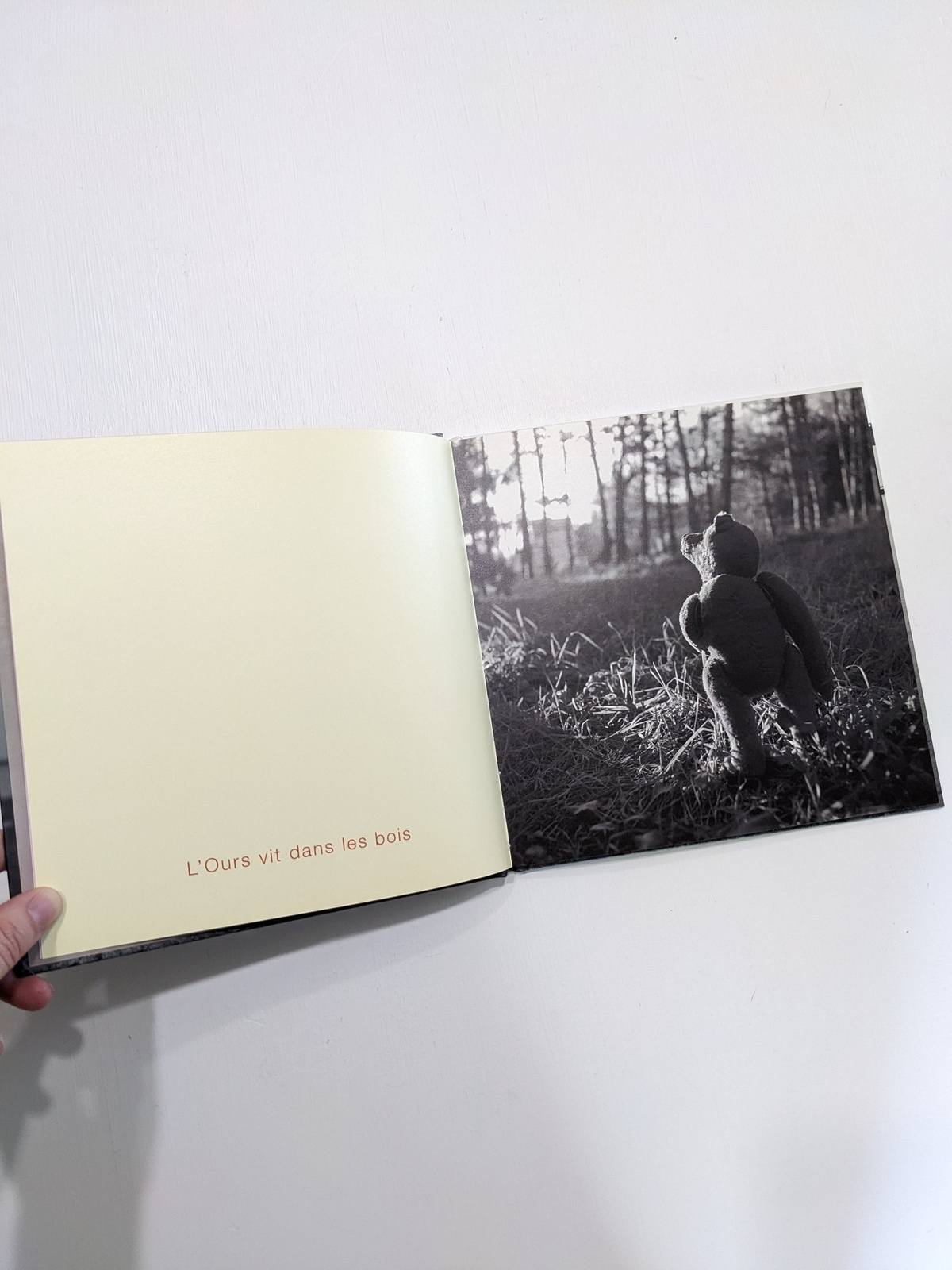Les Songes de l'ours