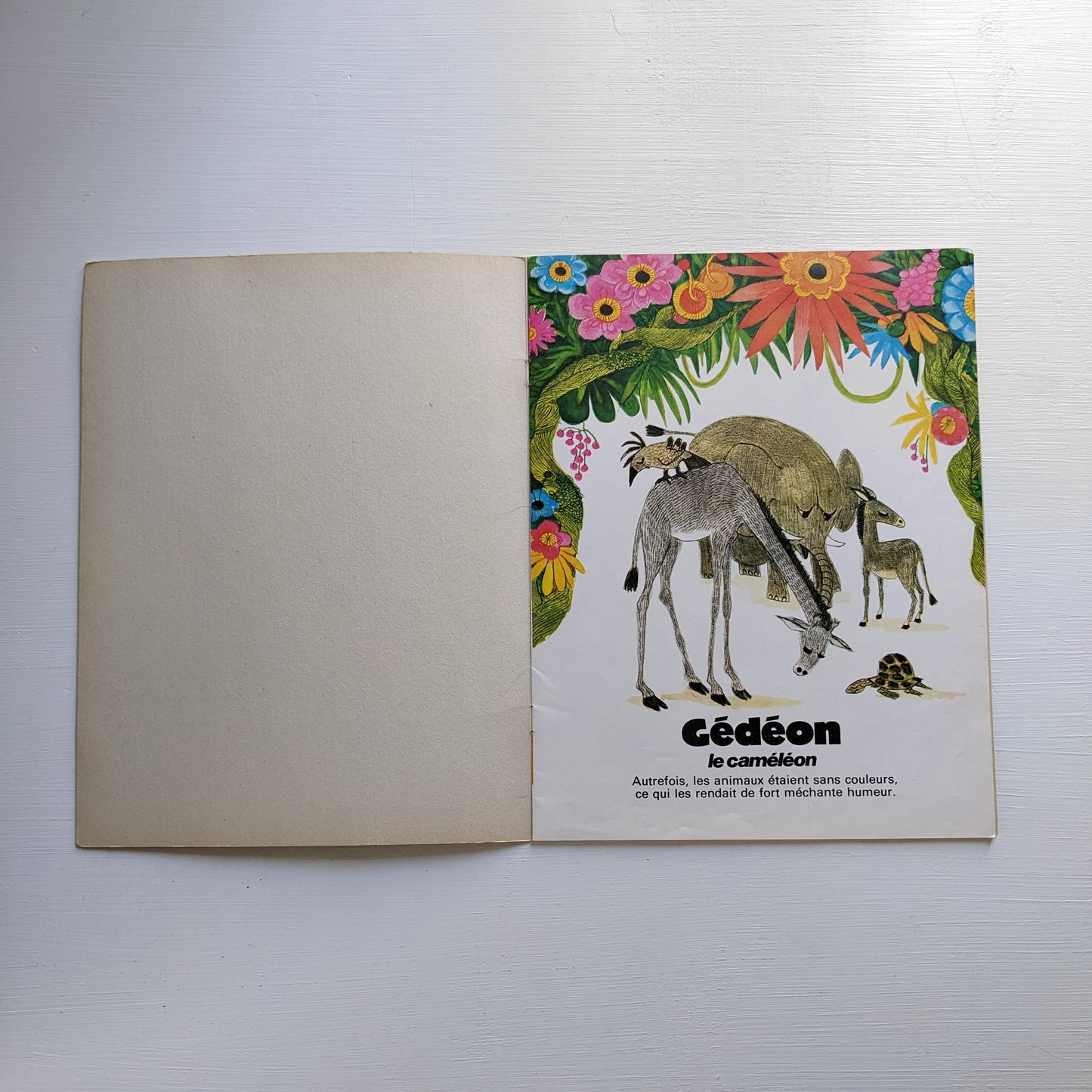 Gédéon le caméléon