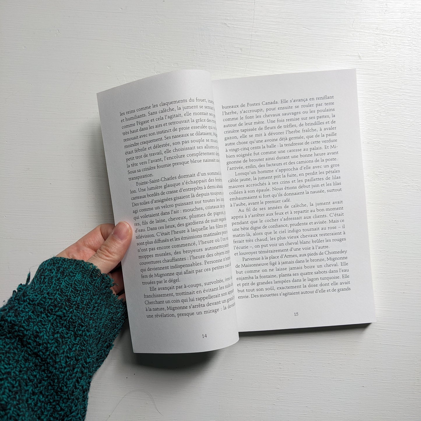 La mort de Mignonne et autres histoires