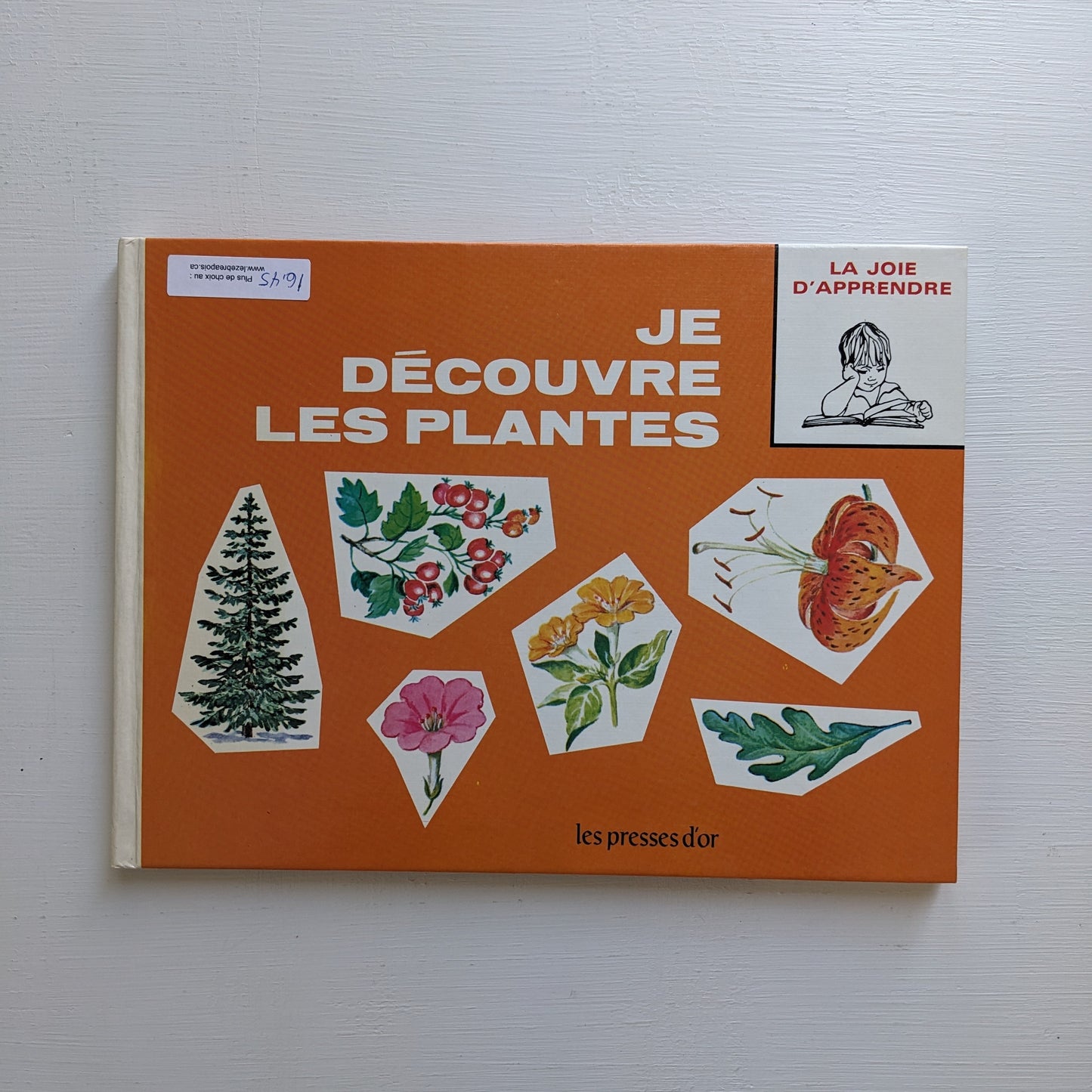 La joie d'apprendre : Lot de 5