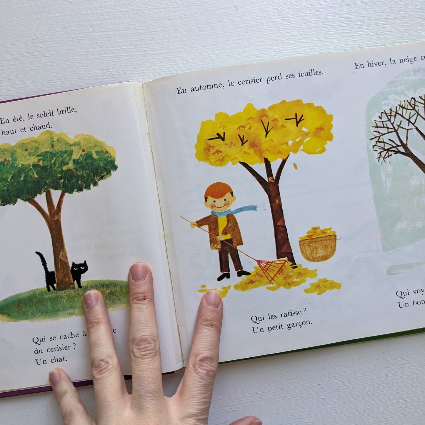 La joie d'apprendre : Je compte j'énumère, je découvre les couleurs