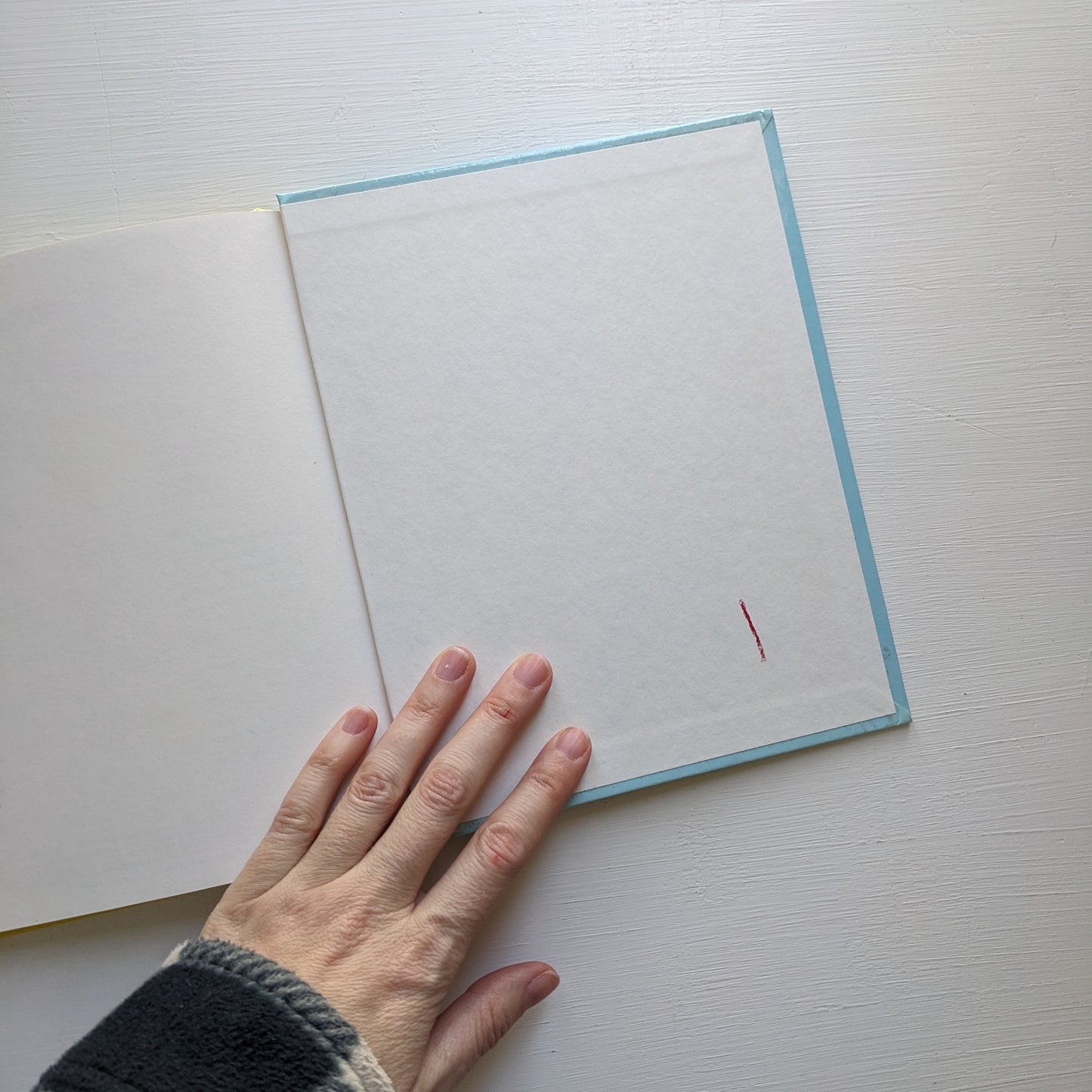 Je découvre... Le monde merveilleux des animaux : Le pélican / le serpent