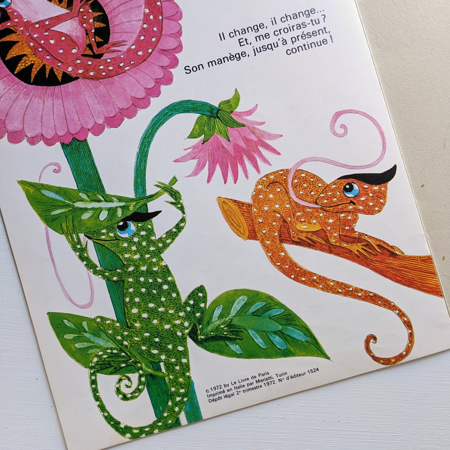 Gédéon le caméléon