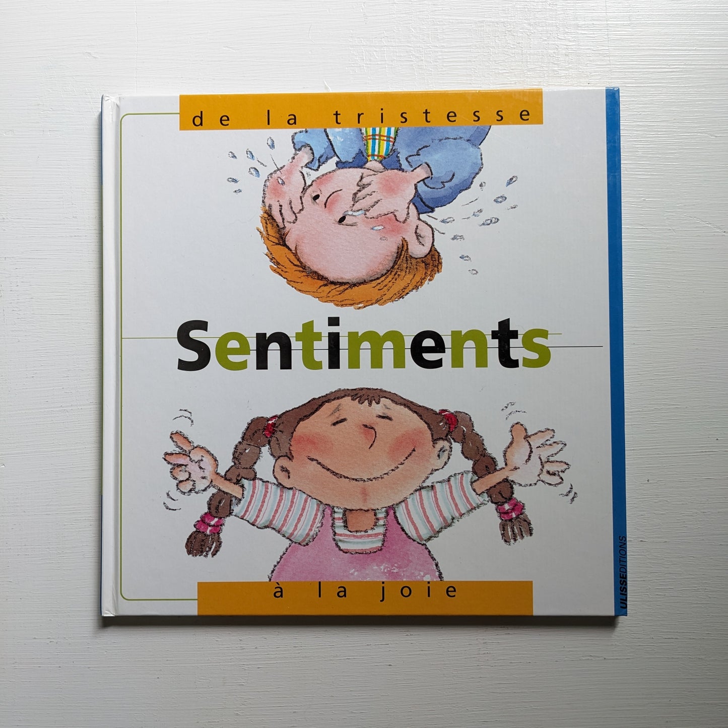 Sentiments, de la Tristesse à la Joie