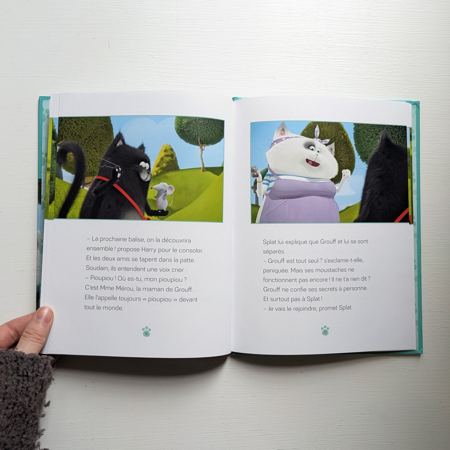 Splat & Harry #7 – Le secret de Grouff