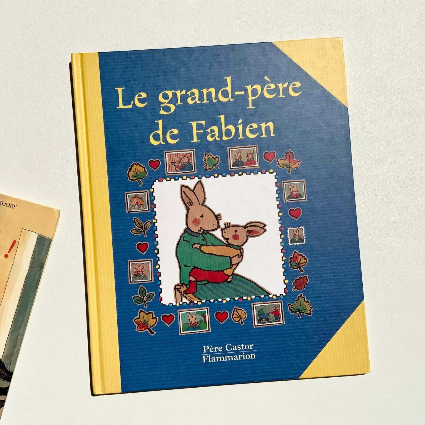 Le grand-père de Fabien livre jeunesse, librairie jeunesse, le zèbre à pois