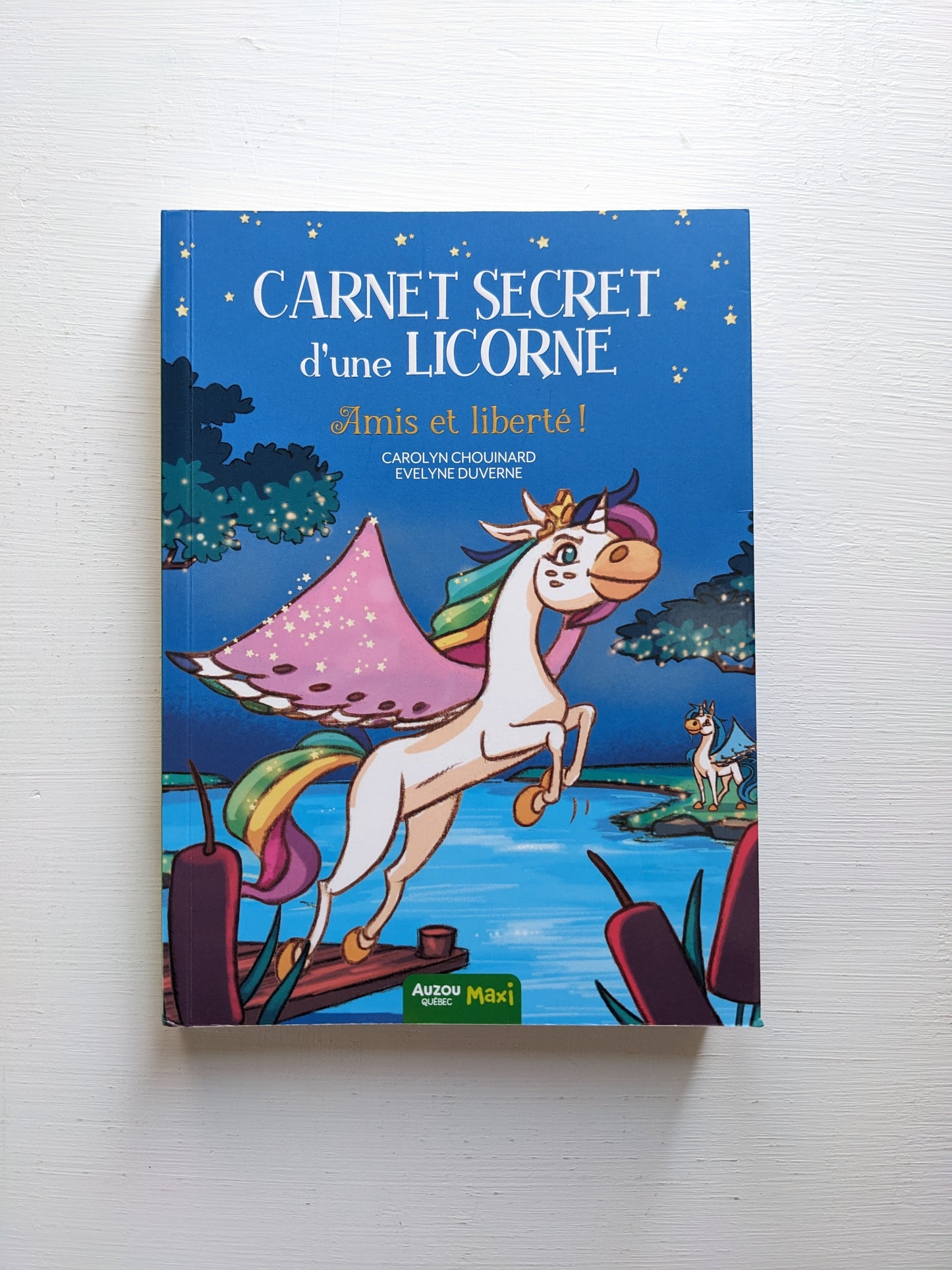 Carnet secret d'une licorne : Amis et liberté!