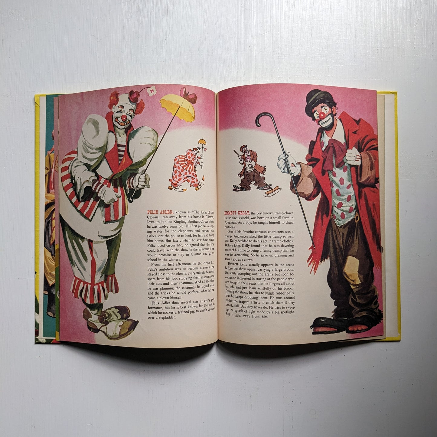 The book of clowns (Anglais/English)