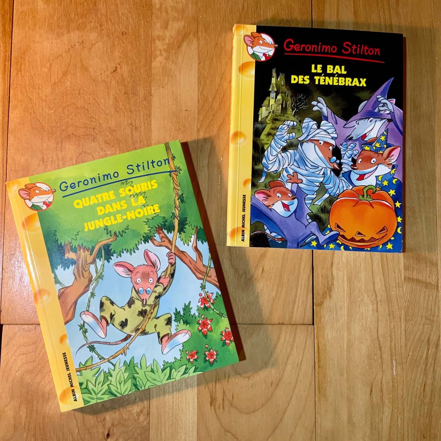 Quatre souris dans la jungle noire #09 livre jeunesse, librairie jeunesse, le zèbre à pois