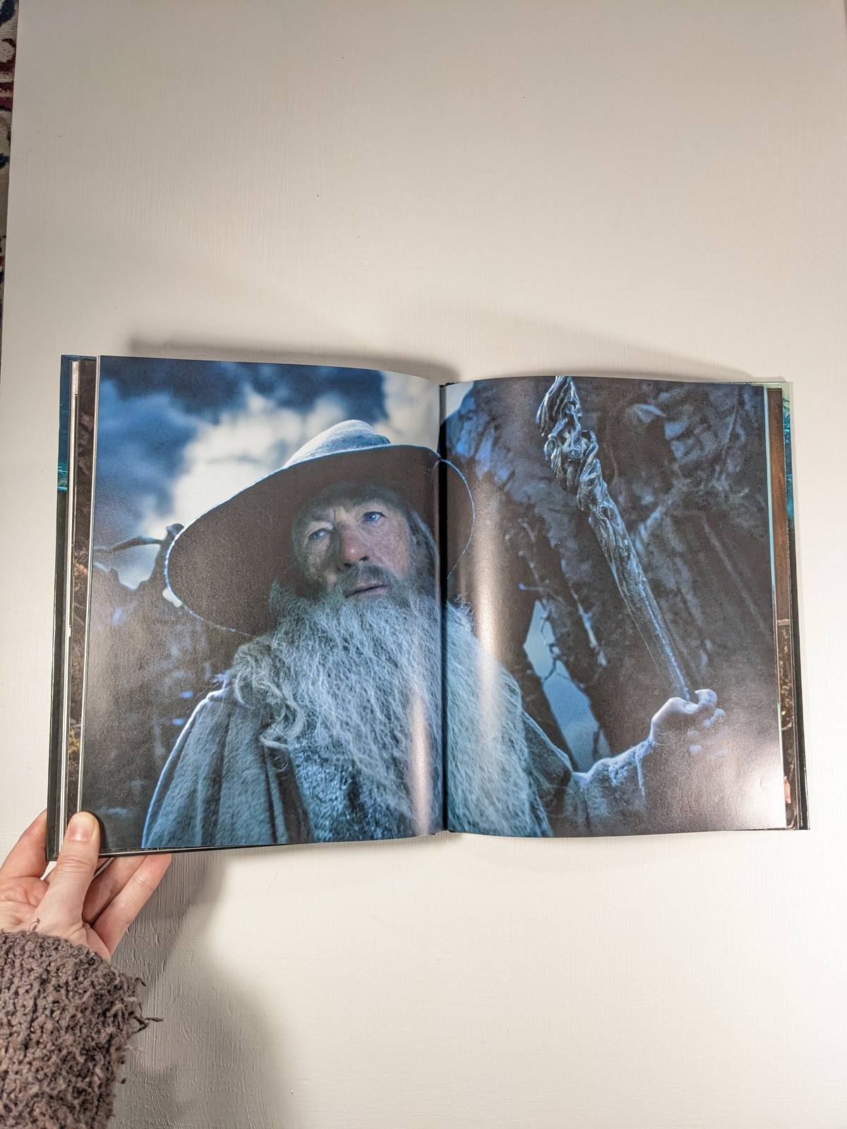 Le Hobbit : la désolation de Smaug : le livre du film