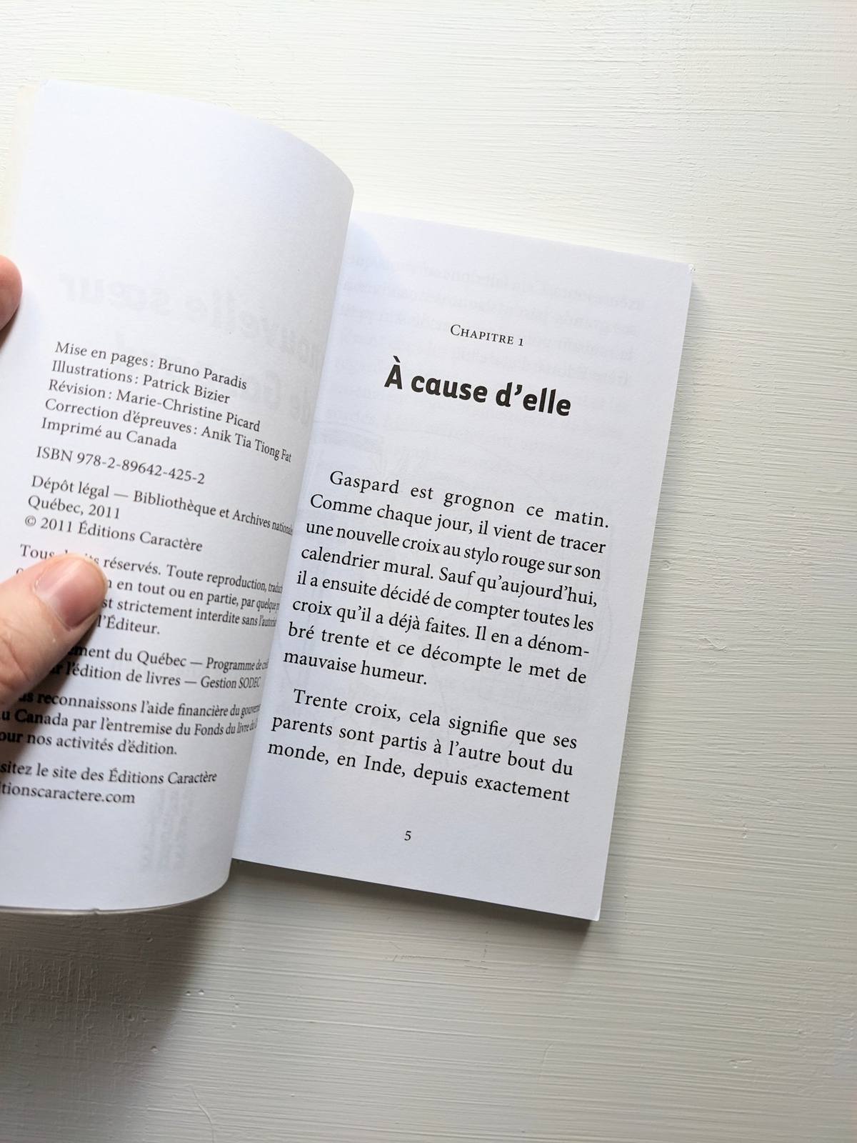 L'heure de la lecture : 4e année : La nouvelle sœur de Gaspard