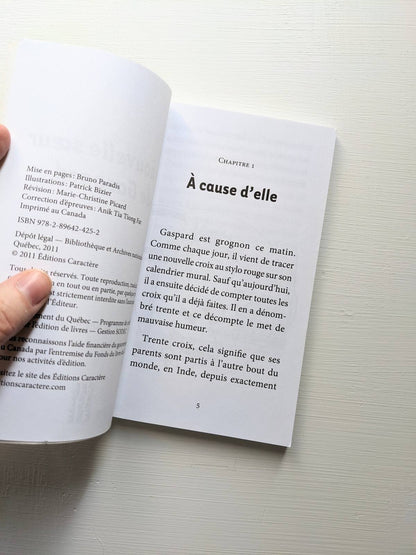 L'heure de la lecture : 4e année : La nouvelle sœur de Gaspard
